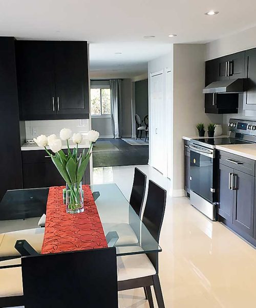 talah-interiors-kitchener-kitchen-1