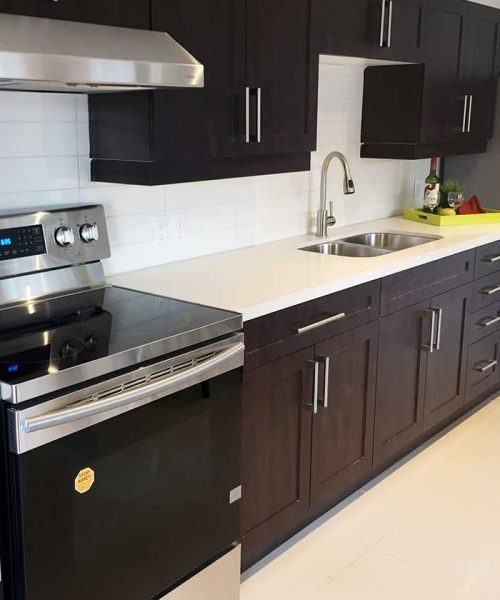 talah-interiors-kitchener-kitchen-2